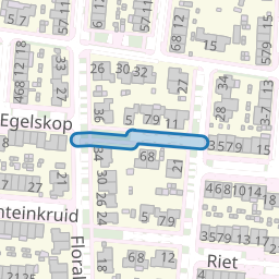 Kikkerbeet
