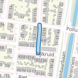 Lisdodde