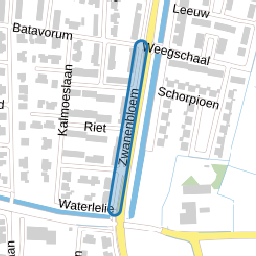 Zwanenbloem