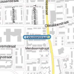 Ligusterstraat