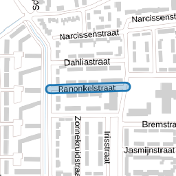 Ranonkelstraat
