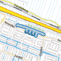 Aalscholver