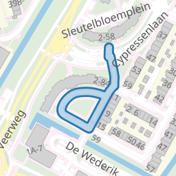 Bosbesplein