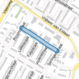 Goudenregenstraat