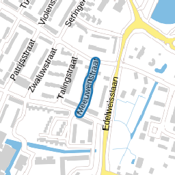 Meeuwenstraat