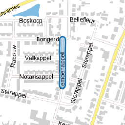 Lemoenappel