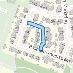 Theod. Pubbenstraat