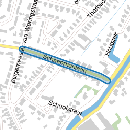 Schaepmanlaan