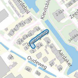 Dwergwilg