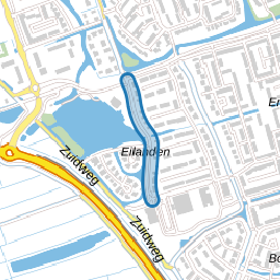 Aalscholver