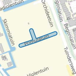 Primulatuin