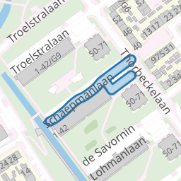 Schaepmanlaan