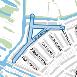 Bisonstraat