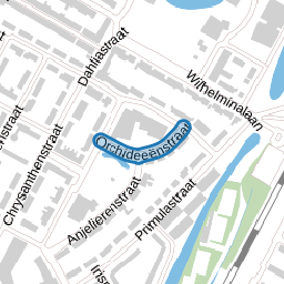 Orchideeënstraat