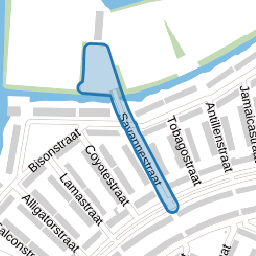 Savannestraat