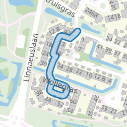 Wollegras