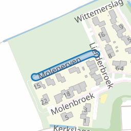 Molenerven