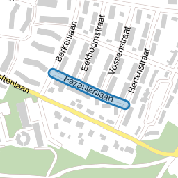 Fazantenlaan
