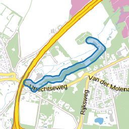 Kabeljauw