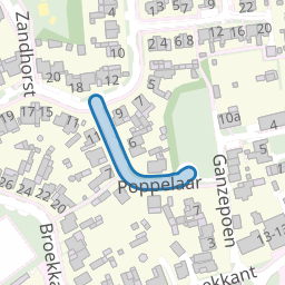 Poppelaar
