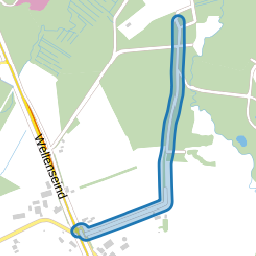Vogelenzang