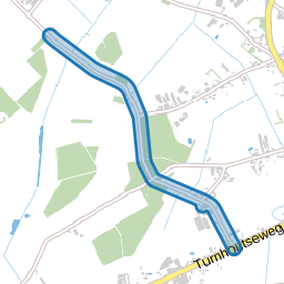 Ziekbleek
