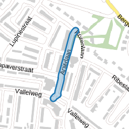 Anjerlaan