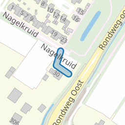 Nagelkruid