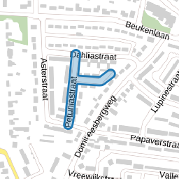 Petuniastraat