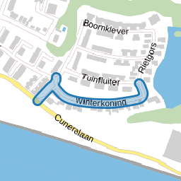 Winterkoning