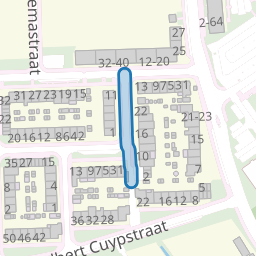 Gerard Terborghstraat