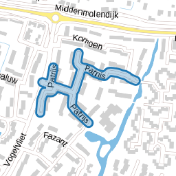 Patrijs