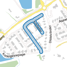 Koolwitje