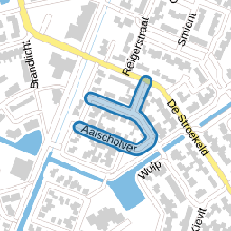 Aalscholver