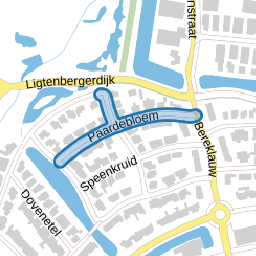 Paardebloem