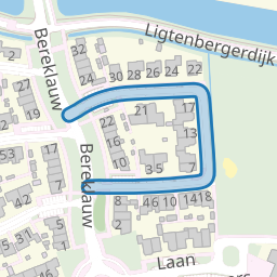 Zonneroosje