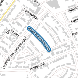 Graaf Reinaldstraat