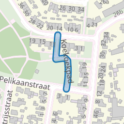 Koekoekpad