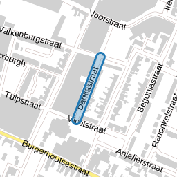 Dahliastraat