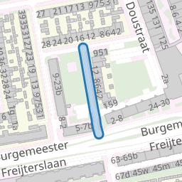 Paulus Potterstraat