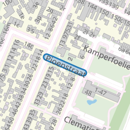 Pioenstraat