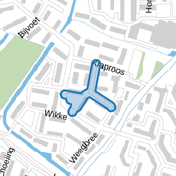 Ridderspoor