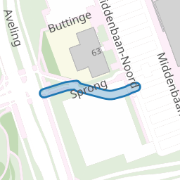Sprong