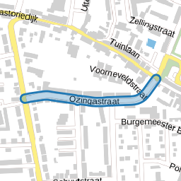 Ozingastraat
