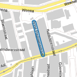 Anna Paulownastraat