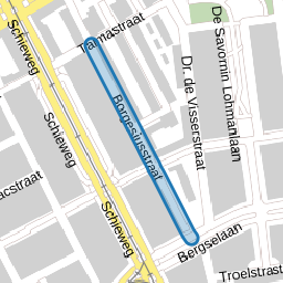 Borgesiusstraat