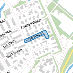 Borodinlaan