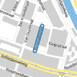 Bussinghstraat