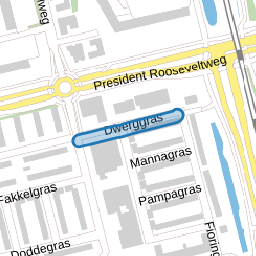 Dwerggras