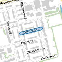 Ganzekruid